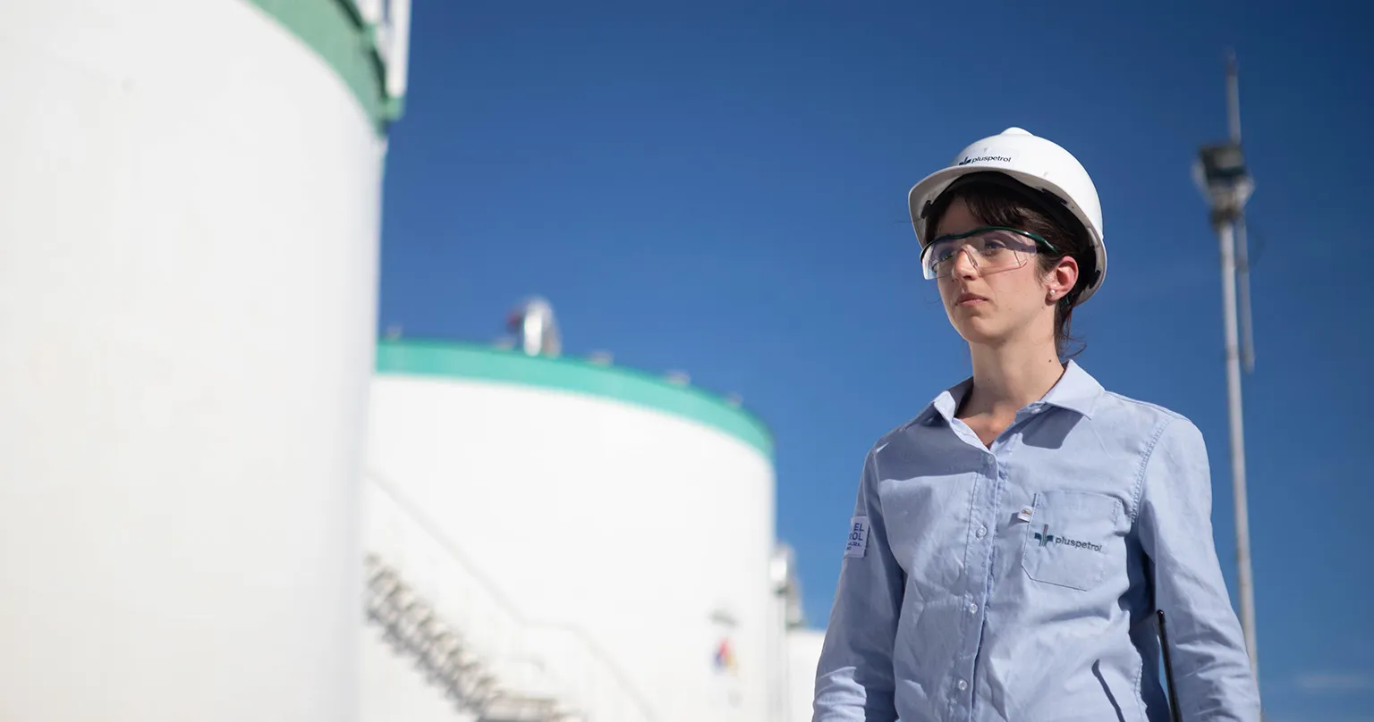 Estandarización visual y narrativa de la comunicación interna regional en Pluspetrol